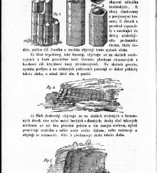 Základy zeměznalectví, čili, Geognosie :(1852) document 619349