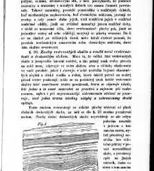 Základy zeměznalectví, čili, Geognosie :(1852) document 619352