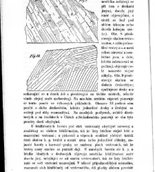 Základy zeměznalectví, čili, Geognosie :(1852) document 619353