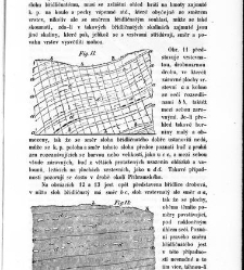 Základy zeměznalectví, čili, Geognosie :(1852) document 619354