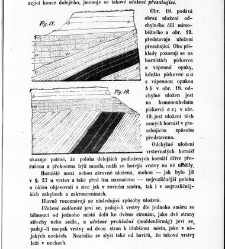 Základy zeměznalectví, čili, Geognosie :(1852) document 619360