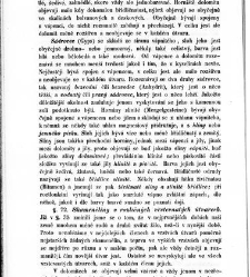 Základy zeměznalectví, čili, Geognosie :(1852) document 619411