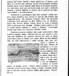 Základy zeměznalectví, čili, Geognosie :(1852) document 619450