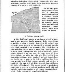 Základy zeměznalectví, čili, Geognosie :(1852) document 619483