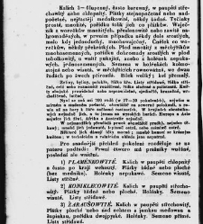Jana Svatopluka Presla W&scaron;eobecn&yacute; rostlinopis, čili: pops&aacute;n&iacute; rostlin ....(1846) document 622619