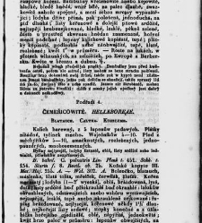 Jana Svatopluka Presla W&scaron;eobecn&yacute; rostlinopis, čili: pops&aacute;n&iacute; rostlin ....(1846) document 622632