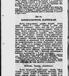 Jana Svatopluka Presla W&scaron;eobecn&yacute; rostlinopis, čili: pops&aacute;n&iacute; rostlin ....(1846) document 622683