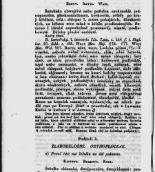 Jana Svatopluka Presla W&scaron;eobecn&yacute; rostlinopis, čili: pops&aacute;n&iacute; rostlin ....(1846) document 622701