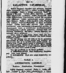 Jana Svatopluka Presla W&scaron;eobecn&yacute; rostlinopis, čili: pops&aacute;n&iacute; rostlin ....(1846) document 622708