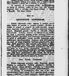 Jana Svatopluka Presla W&scaron;eobecn&yacute; rostlinopis, čili: pops&aacute;n&iacute; rostlin ....(1846) document 622716