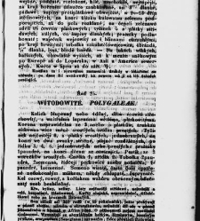 Jana Svatopluka Presla W&scaron;eobecn&yacute; rostlinopis, čili: pops&aacute;n&iacute; rostlin ....(1846) document 622728