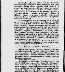 Jana Svatopluka Presla W&scaron;eobecn&yacute; rostlinopis, čili: pops&aacute;n&iacute; rostlin ....(1846) document 622765