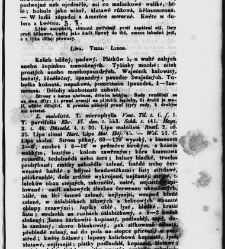 Jana Svatopluka Presla W&scaron;eobecn&yacute; rostlinopis, čili: pops&aacute;n&iacute; rostlin ....(1846) document 622784
