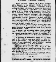 Jana Svatopluka Presla W&scaron;eobecn&yacute; rostlinopis, čili: pops&aacute;n&iacute; rostlin ....(1846) document 622789