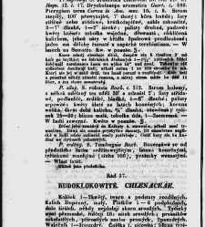 Jana Svatopluka Presla W&scaron;eobecn&yacute; rostlinopis, čili: pops&aacute;n&iacute; rostlin ....(1846) document 622793