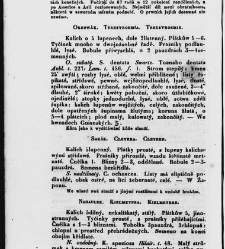 Jana Svatopluka Presla W&scaron;eobecn&yacute; rostlinopis, čili: pops&aacute;n&iacute; rostlin ....(1846) document 622795