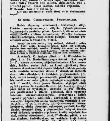 Jana Svatopluka Presla W&scaron;eobecn&yacute; rostlinopis, čili: pops&aacute;n&iacute; rostlin ....(1846) document 622796