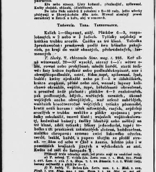 Jana Svatopluka Presla W&scaron;eobecn&yacute; rostlinopis, čili: pops&aacute;n&iacute; rostlin ....(1846) document 622799