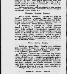 Jana Svatopluka Presla W&scaron;eobecn&yacute; rostlinopis, čili: pops&aacute;n&iacute; rostlin ....(1846) document 622805