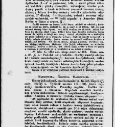 Jana Svatopluka Presla W&scaron;eobecn&yacute; rostlinopis, čili: pops&aacute;n&iacute; rostlin ....(1846) document 622813