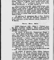 Jana Svatopluka Presla W&scaron;eobecn&yacute; rostlinopis, čili: pops&aacute;n&iacute; rostlin ....(1846) document 622819
