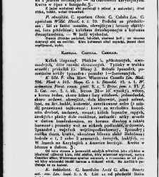 Jana Svatopluka Presla W&scaron;eobecn&yacute; rostlinopis, čili: pops&aacute;n&iacute; rostlin ....(1846) document 622821
