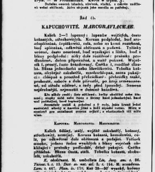 Jana Svatopluka Presla W&scaron;eobecn&yacute; rostlinopis, čili: pops&aacute;n&iacute; rostlin ....(1846) document 622823