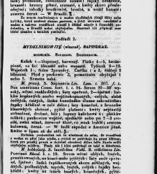 Jana Svatopluka Presla W&scaron;eobecn&yacute; rostlinopis, čili: pops&aacute;n&iacute; rostlin ....(1846) document 622842