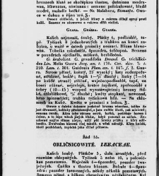 Jana Svatopluka Presla W&scaron;eobecn&yacute; rostlinopis, čili: pops&aacute;n&iacute; rostlin ....(1846) document 622859