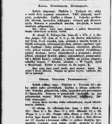 Jana Svatopluka Presla W&scaron;eobecn&yacute; rostlinopis, čili: pops&aacute;n&iacute; rostlin ....(1846) document 622883