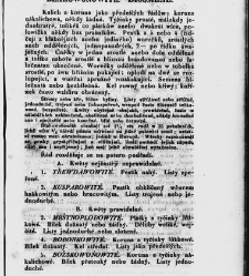 Jana Svatopluka Presla W&scaron;eobecn&yacute; rostlinopis, čili: pops&aacute;n&iacute; rostlin ....(1846) document 622888