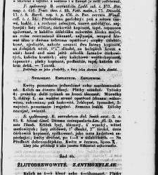 Jana Svatopluka Presla W&scaron;eobecn&yacute; rostlinopis, čili: pops&aacute;n&iacute; rostlin ....(1846) document 622896