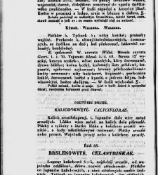Jana Svatopluka Presla W&scaron;eobecn&yacute; rostlinopis, čili: pops&aacute;n&iacute; rostlin ....(1846) document 622911