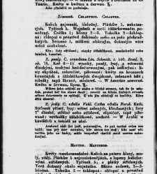 Jana Svatopluka Presla W&scaron;eobecn&yacute; rostlinopis, čili: pops&aacute;n&iacute; rostlin ....(1846) document 622915