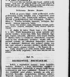 Jana Svatopluka Presla W&scaron;eobecn&yacute; rostlinopis, čili: pops&aacute;n&iacute; rostlin ....(1846) document 622928
