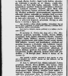 Jana Svatopluka Presla W&scaron;eobecn&yacute; rostlinopis, čili: pops&aacute;n&iacute; rostlin ....(1846) document 623015