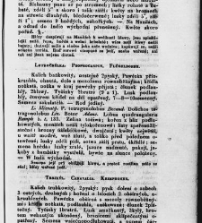 Jana Svatopluka Presla W&scaron;eobecn&yacute; rostlinopis, čili: pops&aacute;n&iacute; rostlin ....(1846) document 623026
