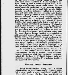Jana Svatopluka Presla W&scaron;eobecn&yacute; rostlinopis, čili: pops&aacute;n&iacute; rostlin ....(1846) document 623039