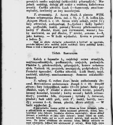 Jana Svatopluka Presla W&scaron;eobecn&yacute; rostlinopis, čili: pops&aacute;n&iacute; rostlin ....(1846) document 623067