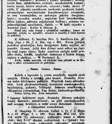 Jana Svatopluka Presla W&scaron;eobecn&yacute; rostlinopis, čili: pops&aacute;n&iacute; rostlin ....(1846) document 623070