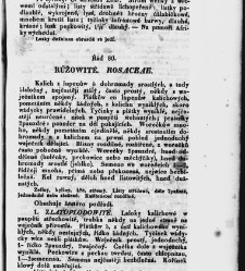 Jana Svatopluka Presla W&scaron;eobecn&yacute; rostlinopis, čili: pops&aacute;n&iacute; rostlin ....(1846) document 623084