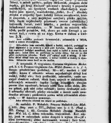 Jana Svatopluka Presla W&scaron;eobecn&yacute; rostlinopis, čili: pops&aacute;n&iacute; rostlin ....(1846) document 623098