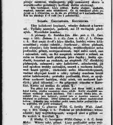 Jana Svatopluka Presla W&scaron;eobecn&yacute; rostlinopis, čili: pops&aacute;n&iacute; rostlin ....(1846) document 623141