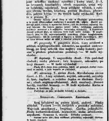 Jana Svatopluka Presla W&scaron;eobecn&yacute; rostlinopis, čili: pops&aacute;n&iacute; rostlin ....(1846) document 623149