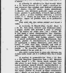 Jana Svatopluka Presla W&scaron;eobecn&yacute; rostlinopis, čili: pops&aacute;n&iacute; rostlin ....(1846) document 623157