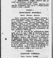 Jana Svatopluka Presla W&scaron;eobecn&yacute; rostlinopis, čili: pops&aacute;n&iacute; rostlin ....(1846) document 623159
