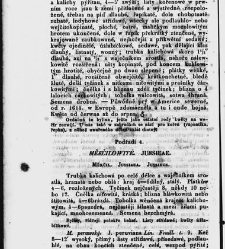 Jana Svatopluka Presla W&scaron;eobecn&yacute; rostlinopis, čili: pops&aacute;n&iacute; rostlin ....(1846) document 623163