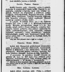 Jana Svatopluka Presla W&scaron;eobecn&yacute; rostlinopis, čili: pops&aacute;n&iacute; rostlin ....(1846) document 623176
