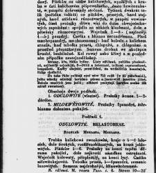Jana Svatopluka Presla W&scaron;eobecn&yacute; rostlinopis, čili: pops&aacute;n&iacute; rostlin ....(1846) document 623183