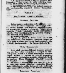 Jana Svatopluka Presla W&scaron;eobecn&yacute; rostlinopis, čili: pops&aacute;n&iacute; rostlin ....(1846) document 623200